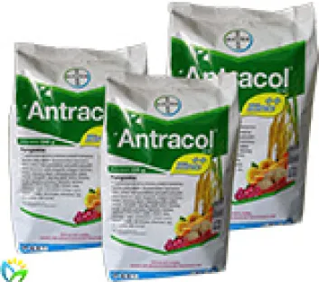 Fungsicides Antracol 70 WP 1 01_home_recovered